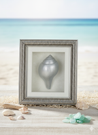 Silver Plated Vastu Shankha