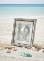 Silver Plated Vastu Shankha
