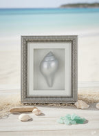 Silver Plated Vastu Shankha