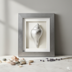 Platinum Plated Vastu Shankha